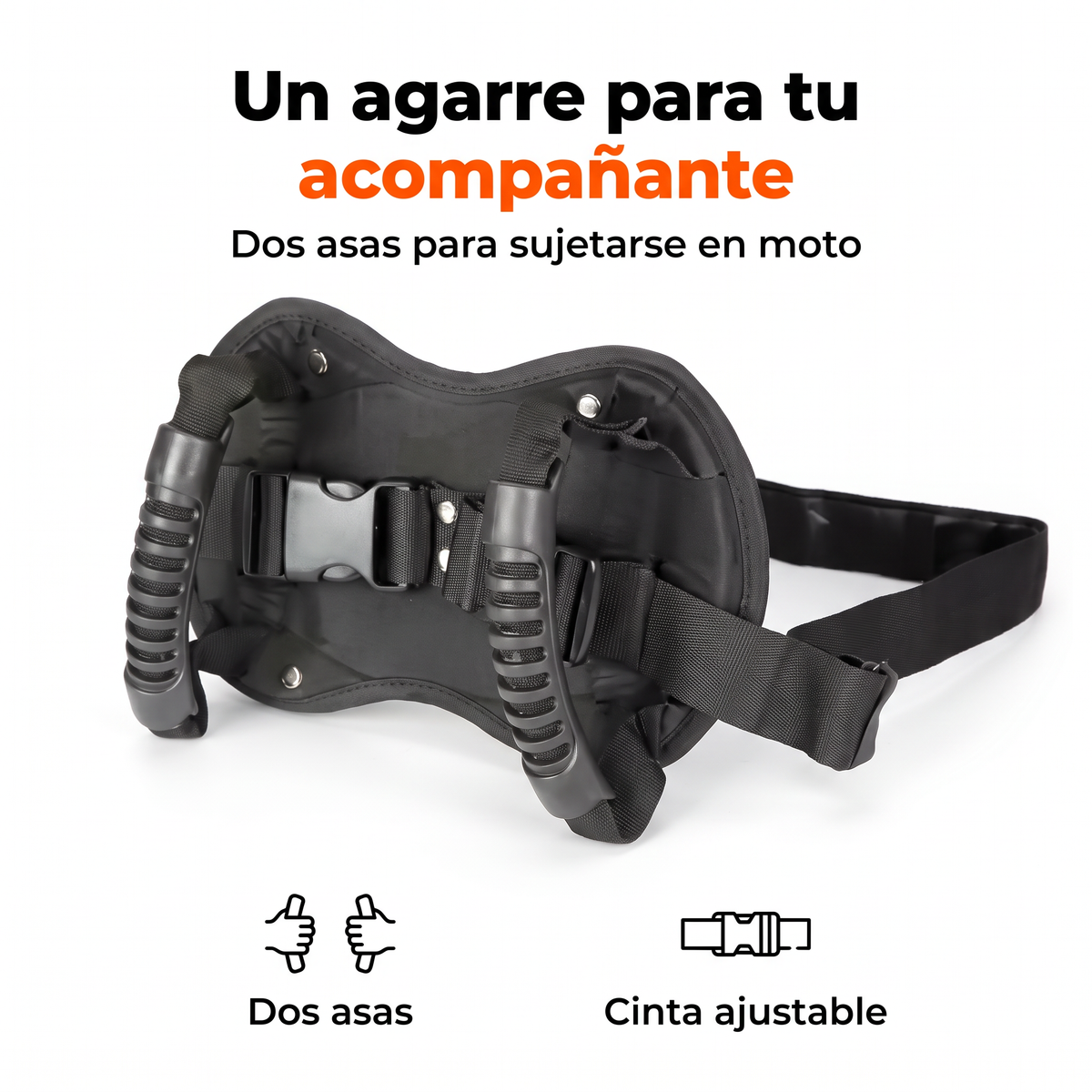 Cinturón con asas: tu pasajero, bien agarrado