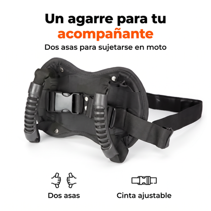 Cinturón con asas: tu pasajero, bien agarrado